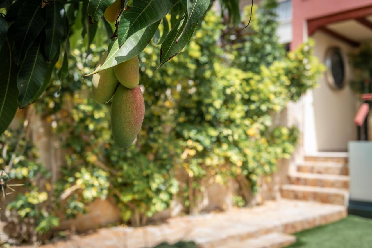 Comfortable 4-Bedroom Villa With Private Gardens アデヘ エクステリア 写真